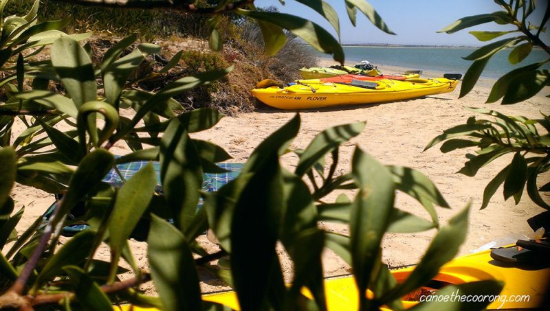 Pulled up kayaks | Explore the beautiful South Australian Coorong by kayak with Canoe the Coorong