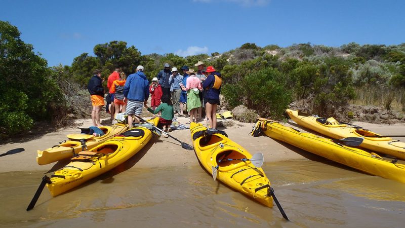 Team Gather | Explore the beautiful South Australian Coorong by kayak with Canoe the Coorong