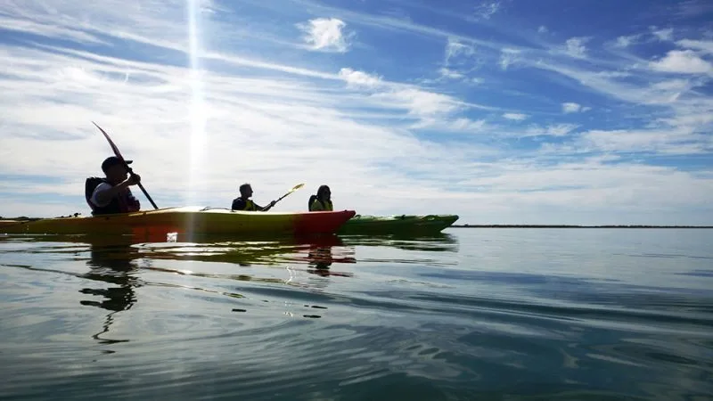 Canoe the Coorong relaxing waters kayak paddle
