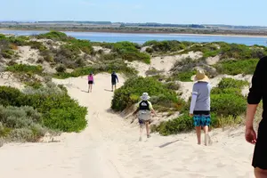Coorong walk in the sand dunes